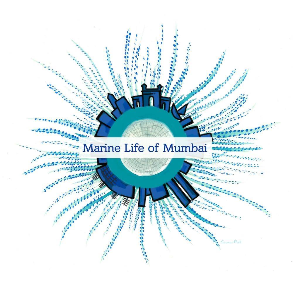 marine-life-of-mumbai-coastal-conservation-foundation